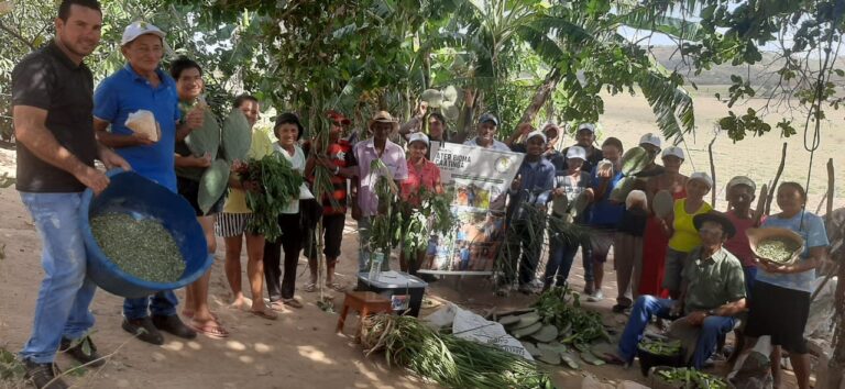 MANEJO SANITÁRIO E ALIMENTAR DOS ANIMAIS: DIA DE CAMPO NA COMUNIDADE ALAGOINHAS EM NOVO TRIUNFO
